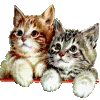 Promotion image