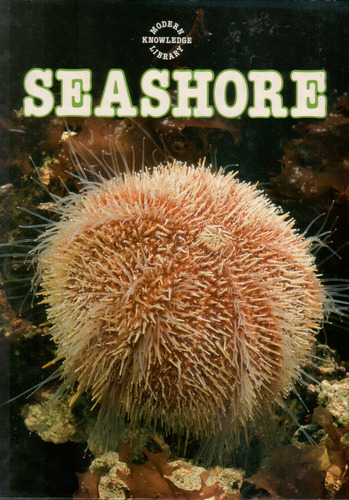Seashore