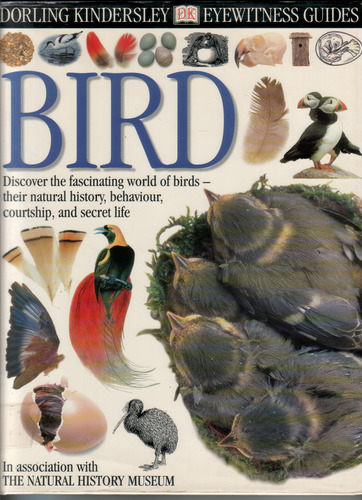 Bird