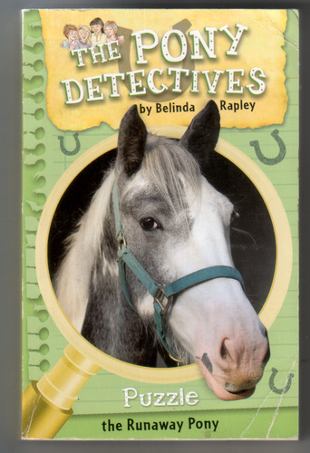 Puzzle the Runaway Pony