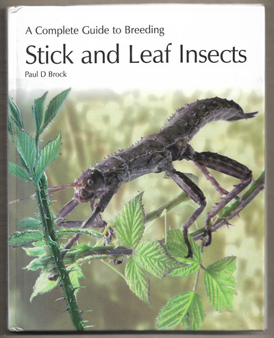 A Complete Guide to Breeding Stick and Leaf Insects