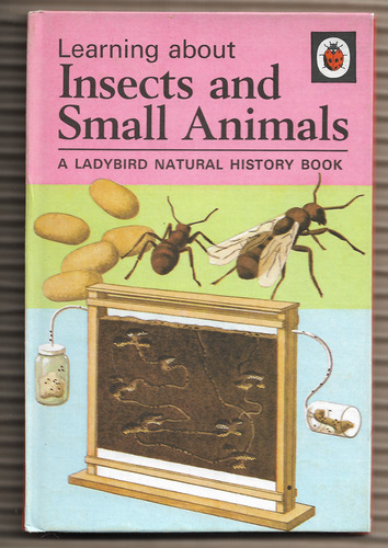 Learning about Insects and Small Animals