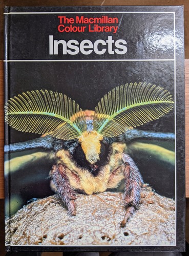 Insects