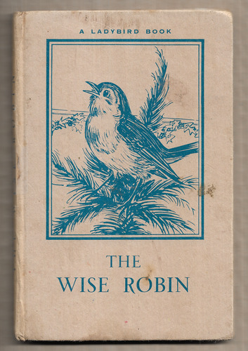 The Wise Robin