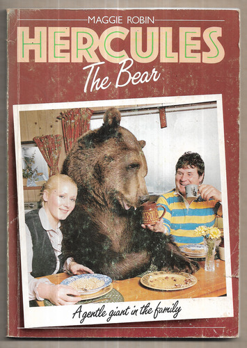 Hercules the Bear: A gentle giant in the family