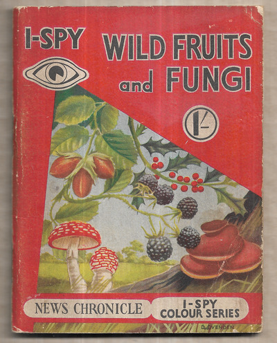 I-Spy Wild Fruits and Fungi