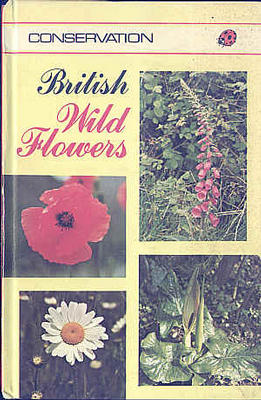 British Wild Flowers