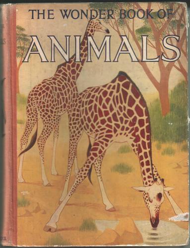 The Wonder Book of Animals