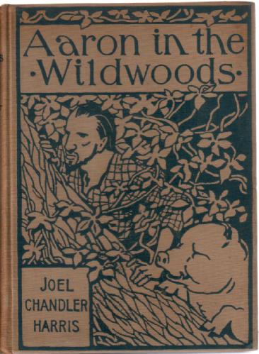 Aaron in the Wild Woods