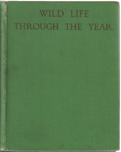 Wild Life through the Year