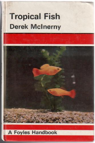 Tropical Fish