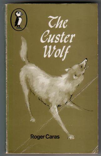 The Custer Wolf