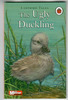 The Ugly Duckling