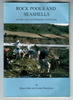 Rock Pools and Seashells along the South Hams' Coastline