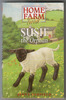 Home Farm Twins: Susie the Orphan