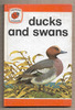 Ducks and Swans