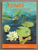Ponds and Streams