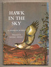 Hawk in the Sky