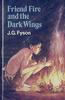 Friend Fire and the Dark Wings