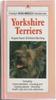 Yorkshire Terriers