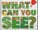 What can you see?