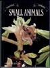 Small Animals