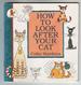 How to Look after your cat